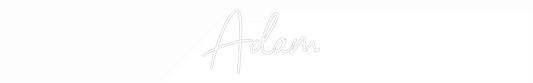 NEONSIGN: Adam